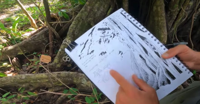 how to nature journal a tree in costa rica photo shows marley peifer drawing a tree and taking notes in his nature journal