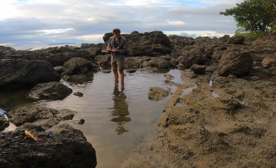 how to nature journal tidepools in costa rica photo showing marley peifer standing in a tidepool or rockpool with his nature journal