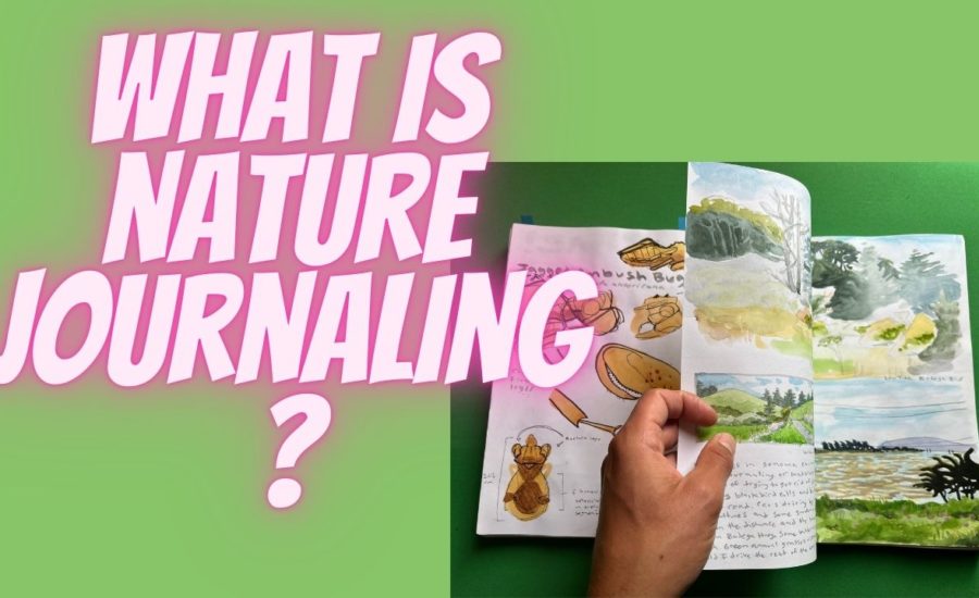What is nature journaling for you