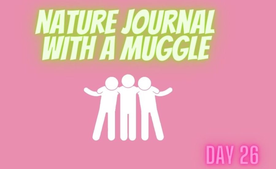 nature journaling with a muggle