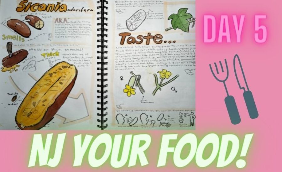 nature journaling your food