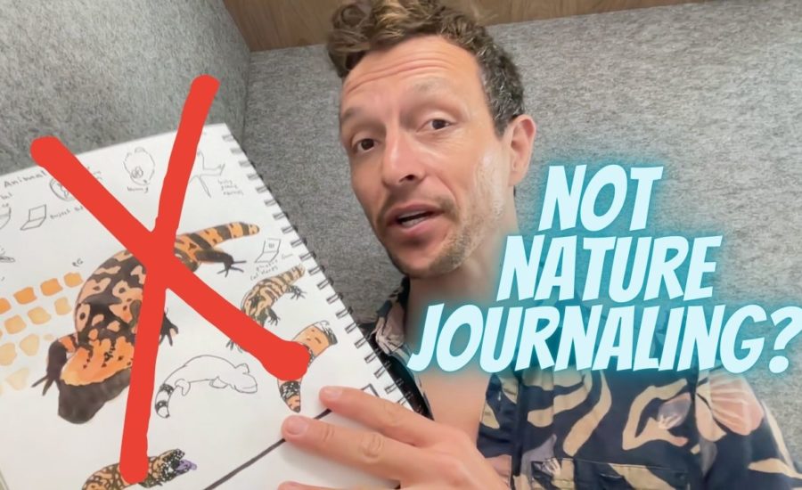 this is not nature journaling