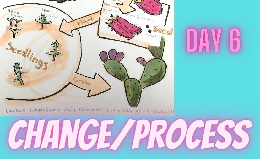 Challenge Day Six: Nature Journaling Change and Process