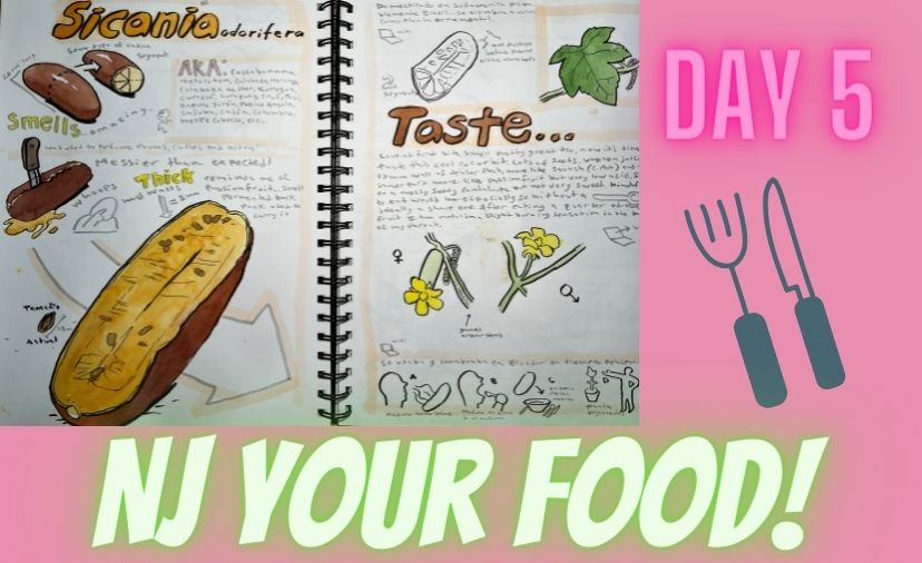 Challenge Day Five: Nature Journaling Your Food