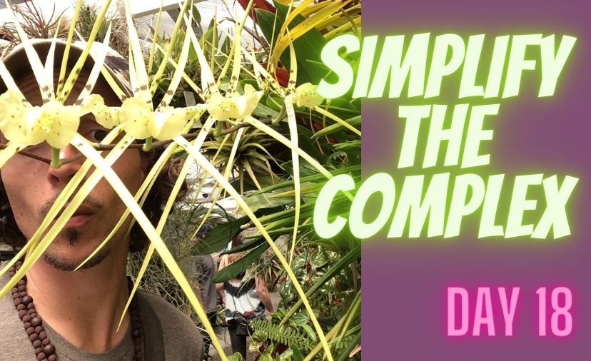 Simplify the Complex: Challenge Day 18