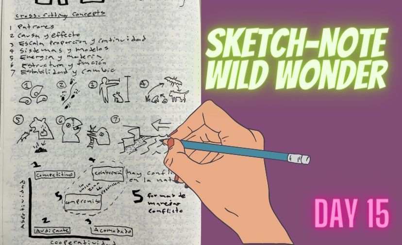 Sketchnoting a Class at Wild Wonder: Challenge Day Fifteen